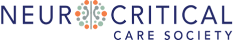 Neur-critical-logo