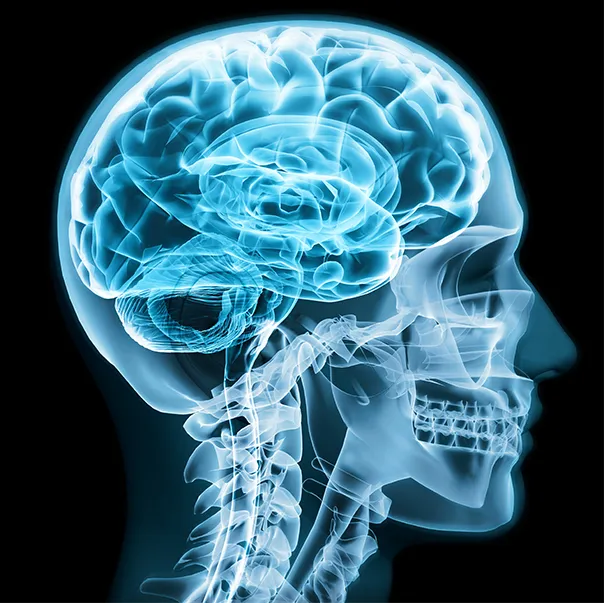 Diagnostics to support legal and medical services